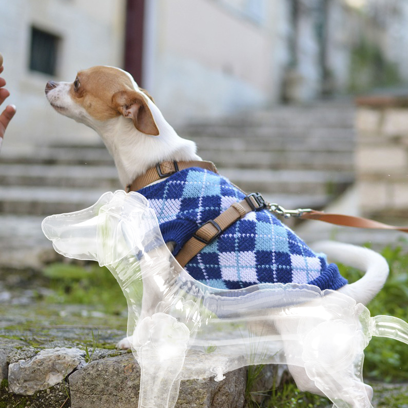 Baby Shop Clothing - Inflatable Dog Mannequin Display Stand for