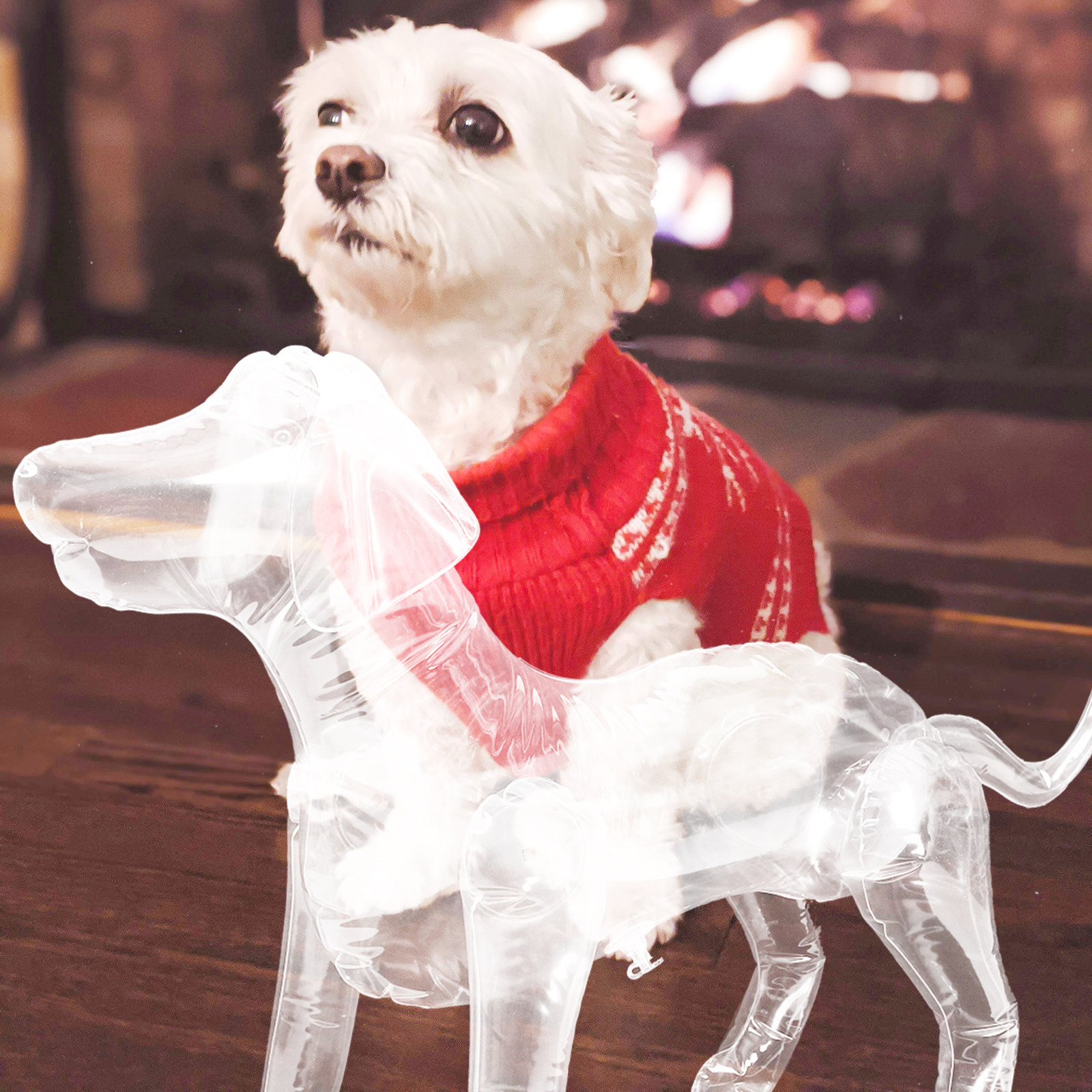 Inflatable Dog Clothes Mannequ - Baby Shop Clothing recensie en prijs