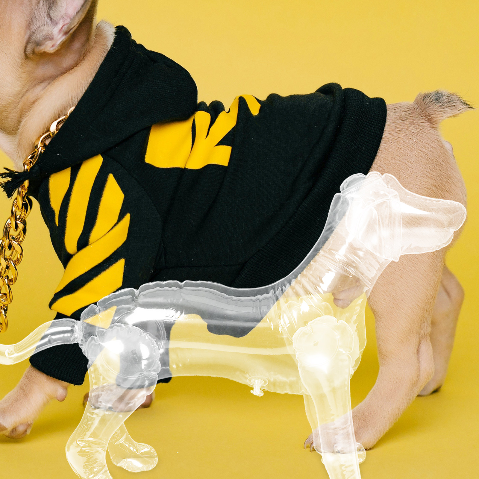 Inflatable Dog Mannequin Displ - Baby Shop Clothing recensie en prijs