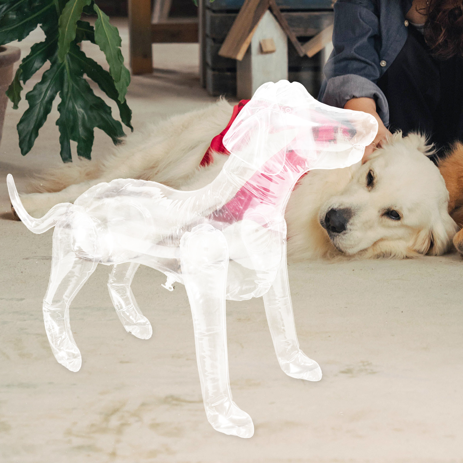 Inflatable Dog Mannequin Displ - Baby Shop Clothing recensie en prijs